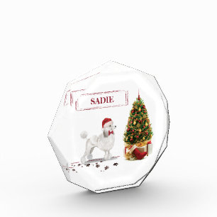 Bloc Photo Poodle blanc Funny Chien de Noël avec arbre