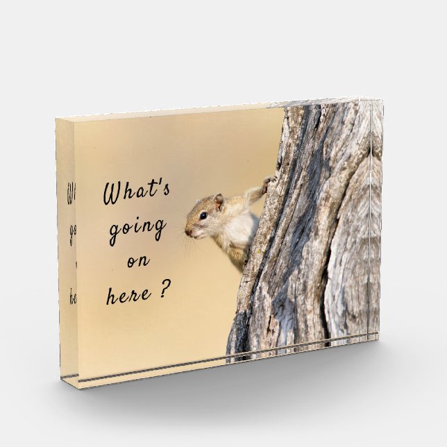 Bloc Photo Que se passe-t-il ici photo d'écureuil avec texte (Gauche)