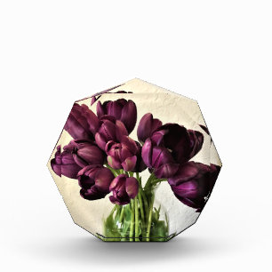 Bloc Photo Reine des Tulips