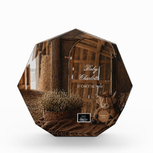 Bloc Photo Révélation du miroir d'annonce de grossesse de Wes