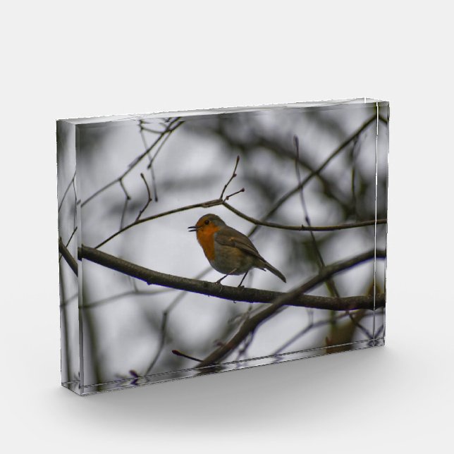 Bloc Photo Robin  (Gauche)