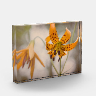 Bloc Photo Sierra orientale bloc de photo de fleur sauvage de