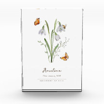 Snowdrop Birth Month Flower