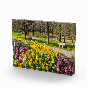Bloc Photo Spring Season Flower Garden