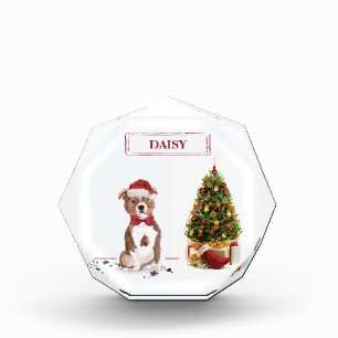 Bloc Photo Staffordshire Bull Terrier Funny Chien de Noël