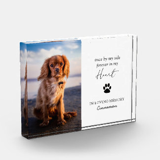 Bloc Photo Sympathie Empreinte de patte moderne Bereavement P