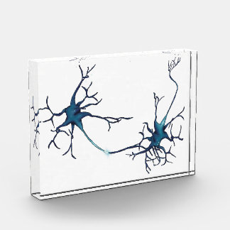 Bloc Photo Synapse Entre Neurons, Neuroscience Neuron