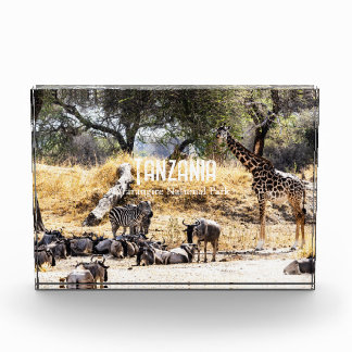 Bloc Photo Tarangire National Park