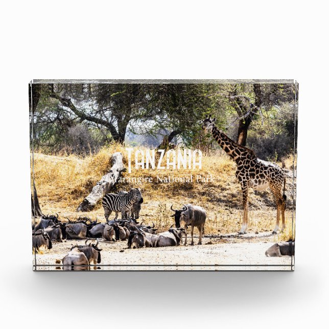 Bloc Photo Tarangire National Park (Devant)