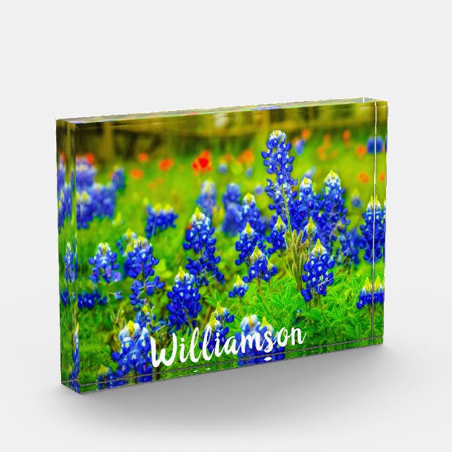 Bloc Photo Texas Bluebonnets Indian Paintbrush Nom de famille (Gauche)