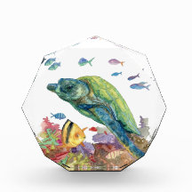 Tortue et poissons dans la mer
