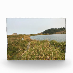 Bloc Photo Trail at Cape Blanco
