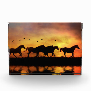 Bloc Photo Troupeau de chevaux sauvages au coucher du soleil
