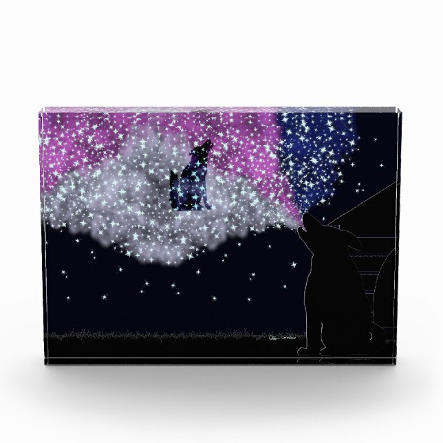 Bloc Photo Une nuit d'été avec Sirius (Devant)