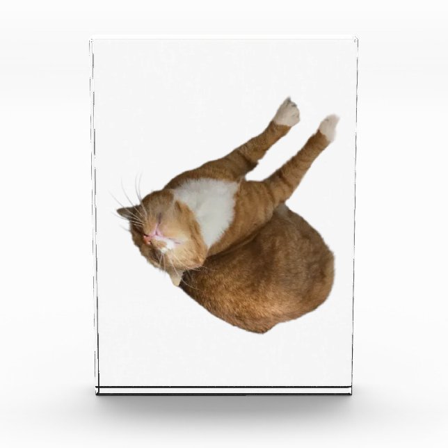 Bloc Photo Upside-Down Sunshine (Devant)