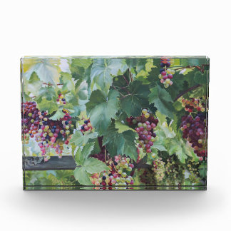 Bloc Photo Vignoble de la Vallée de la Loire – Peinture de Ra