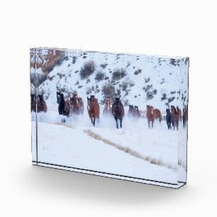 Bloc Photo Voiture Cowboy   Hideout Ranch Shell, Wyoming
