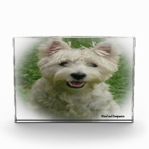 Bloc Photo Westie Dog.