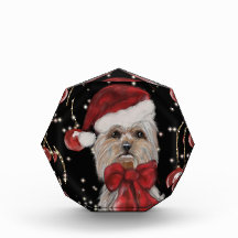 Yorkie