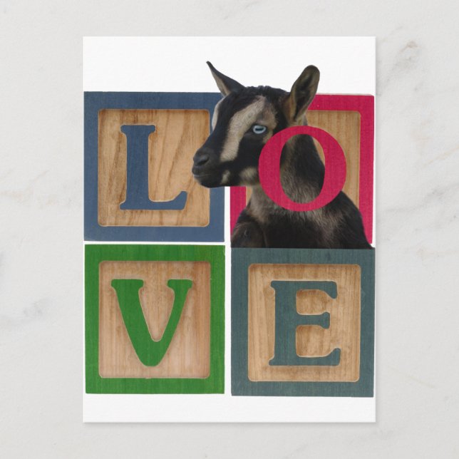 BLOCKS LOVE GOAT POSTCARD (Front)