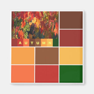 Blocks of Autumn Colors Magnet
