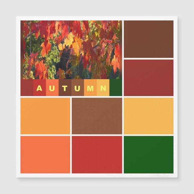 Blocs de couleurs d'automne Carte magnétique (Devant)