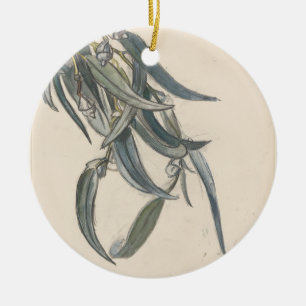 Bloeiende tak van een eucalyptus  ceramic ornament