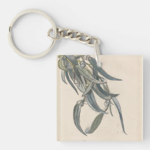 Bloeiende tak van een eucalyptus keychain