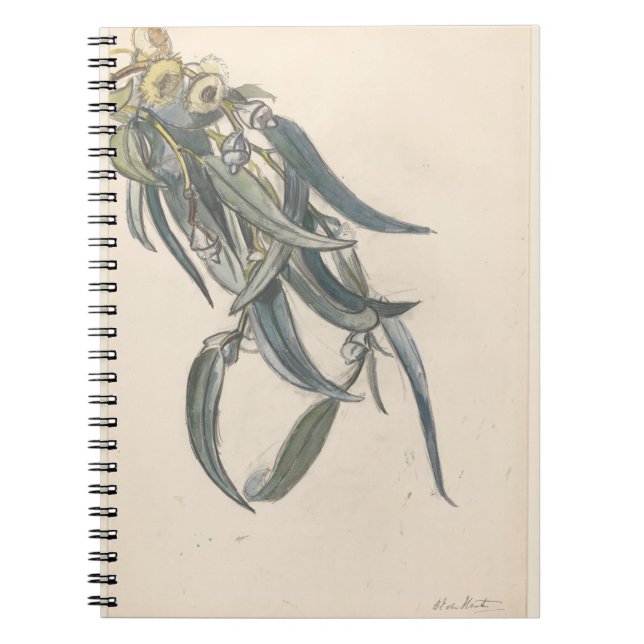 Bloeiende tak van een eucalyptus  notebook (Front)