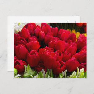 Bloemenmarkt Flowers Postcard