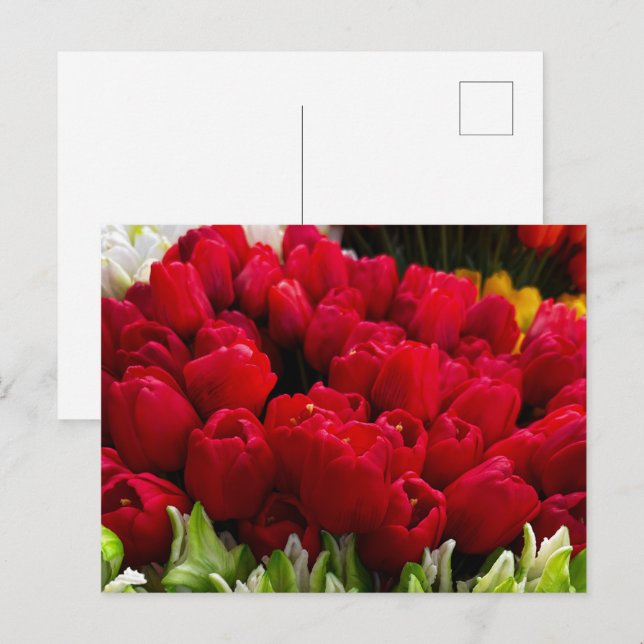 Bloemenmarkt Flowers Postcard (Front/Back)