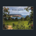 Blomidin, Nova Scotia, Canada Postcard<br><div class="desc">Picturesque view of apple orchard in Blomidin, Nova Scotia, Canada.</div>