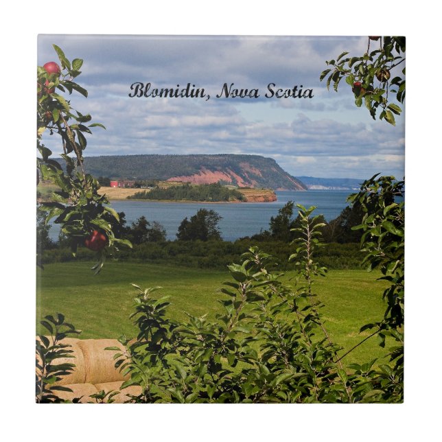 Blomidin, Nova Scotia, Canada Tile (Front)