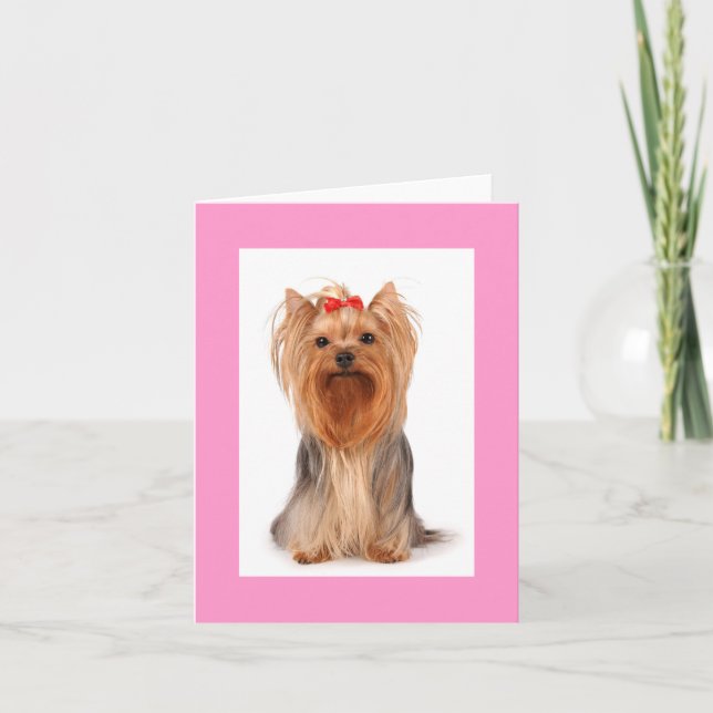 Blond Yorkshire Terrier Chien Chien Carte pour not (Devant)