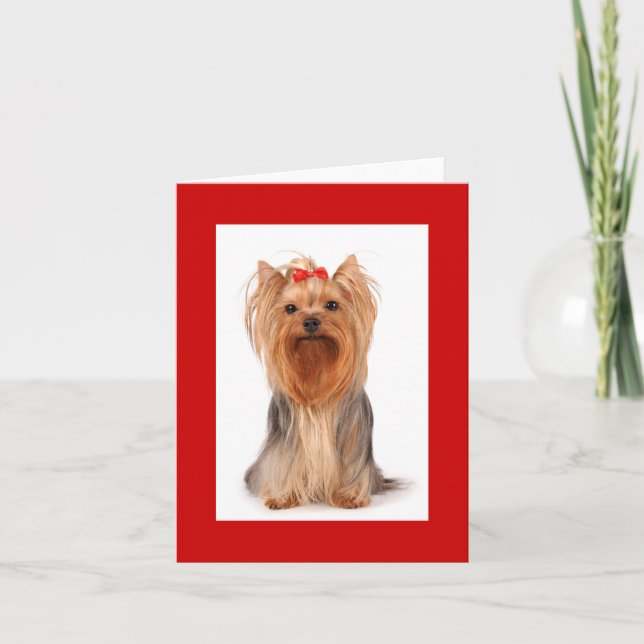 Blond Yorkshire Terrier Chien Chien Carte pour not (Devant)