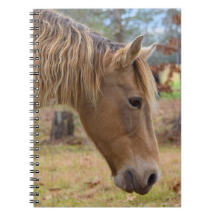 Blonde Beauty Horse Carnet