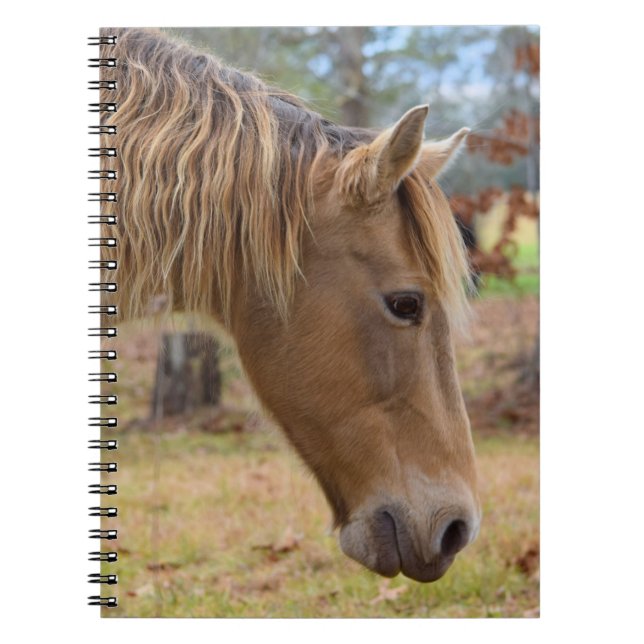 Blonde Beauty Horse Notebook (Front)