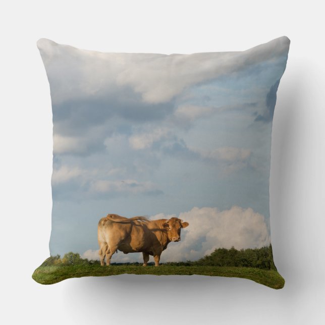 Blonde d'Aquitaine cow in Dordogne region, France Throw Pillow (Front)