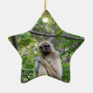 Blonde Gibbon Monkey - Hylobates lar Ceramic Ornament