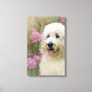 blonde goldendoodle dog in garden canvas print