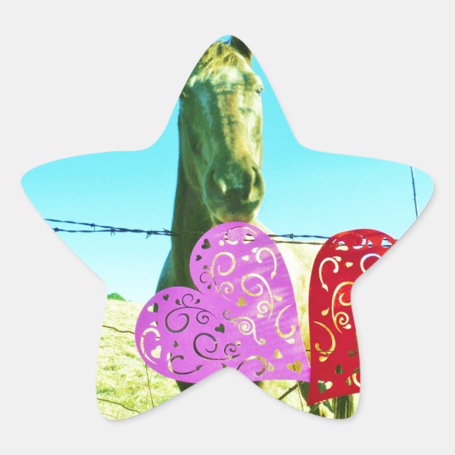 Blonde horse and Pink and Red Hearts Star Sticker (Front)