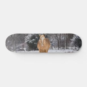 Blonde Horse Walk Dans Le Skateboard De Neige