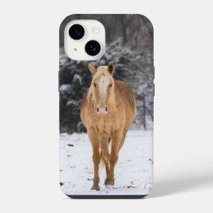 Blonde Horse Walk In The Snow iPhone Case