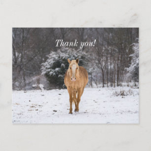 Blonde Horse Walk In The Snow Thank You Postcard