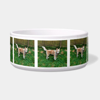 Blonde Husky Girl Ceramic Pet Bowl