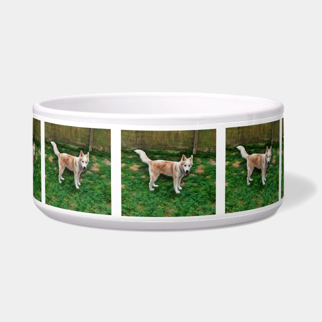 Blonde Husky Girl Ceramic Pet Bowl (Front)