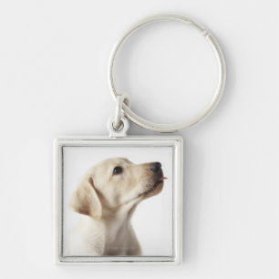 Blonde Labrador puppy sticking out tongue Keychain