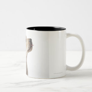 Blonde Labrador puppy sticking out tongue Two-Tone Coffee Mug