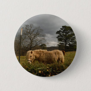 Blonde Miniature Pony / Horse 2 Inch Round Button