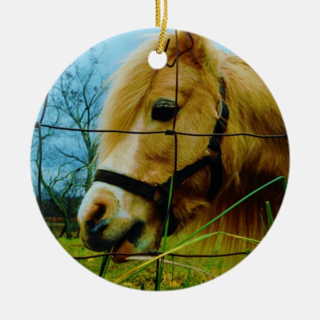 Blonde Miniature Pony / Horse Blue Sky Ceramic Ornament (Front)